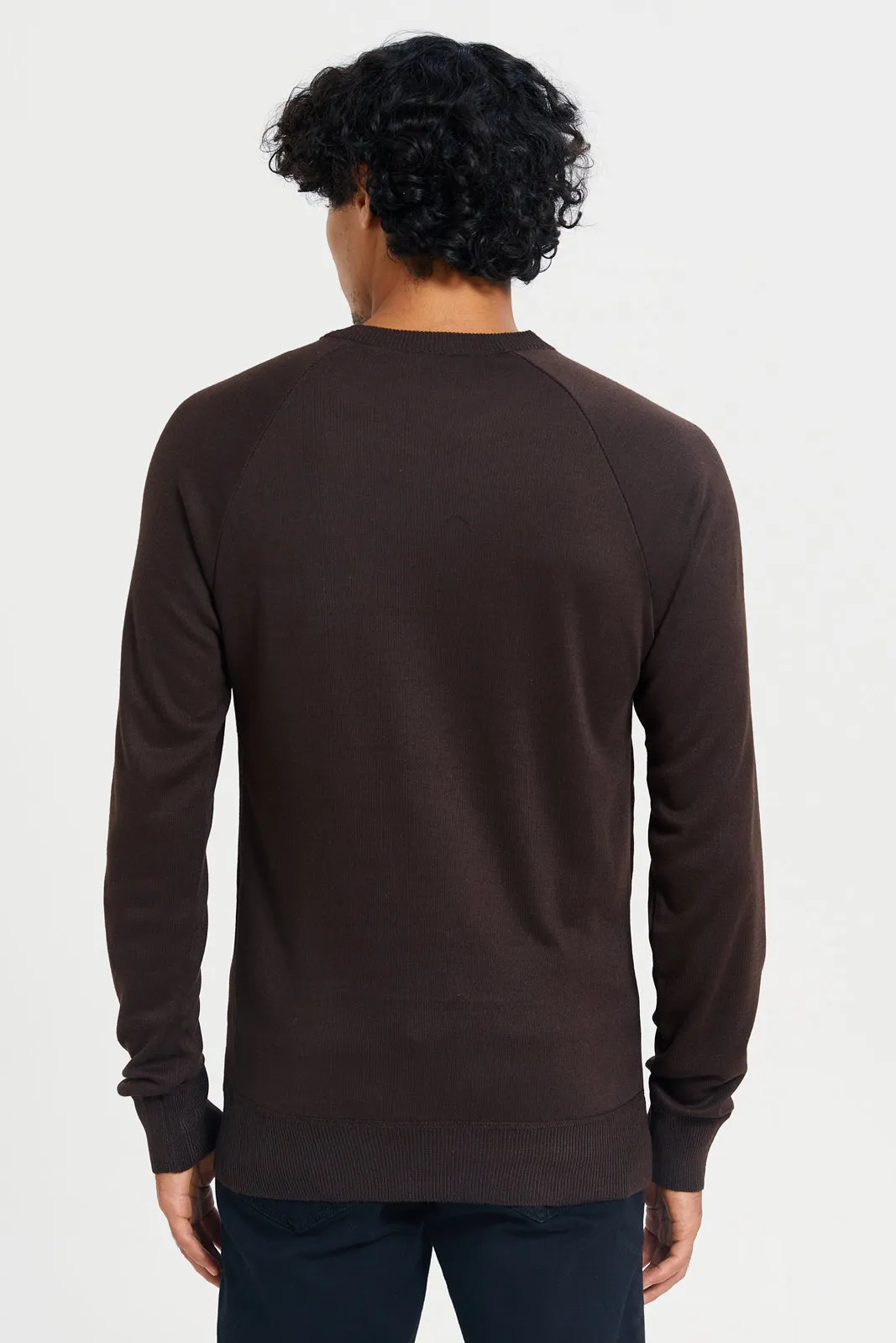 Men Brown Crew Neck Pullover