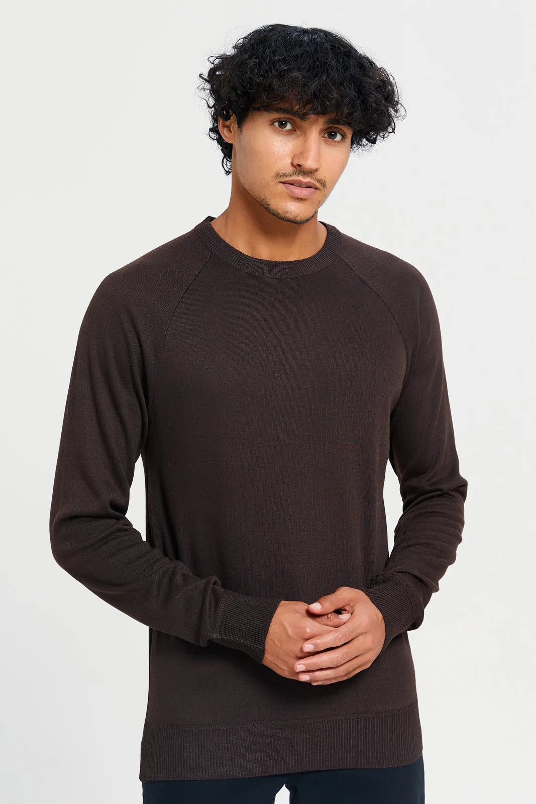 Men Brown Crew Neck Pullover