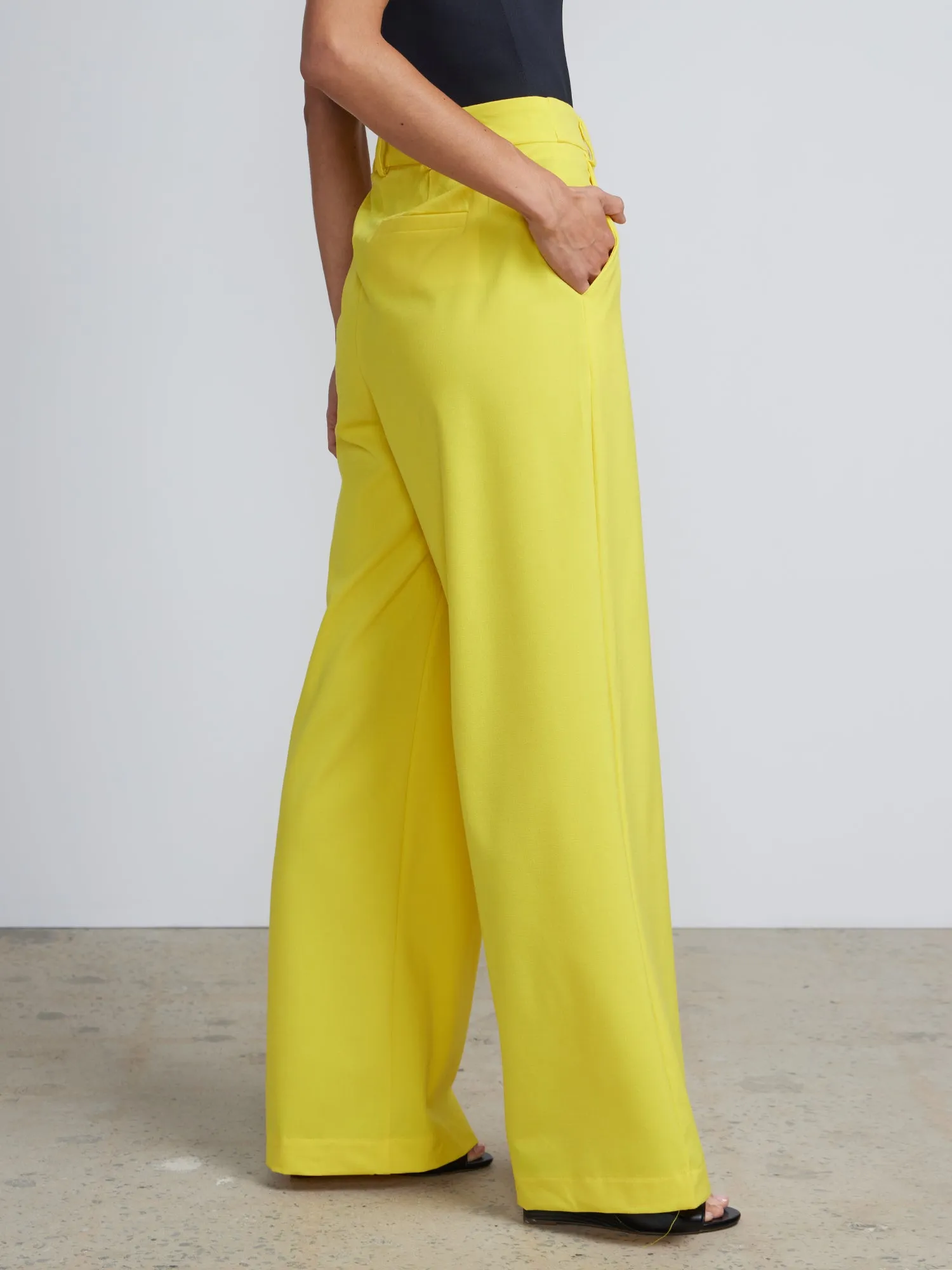 Wide Leg Pants